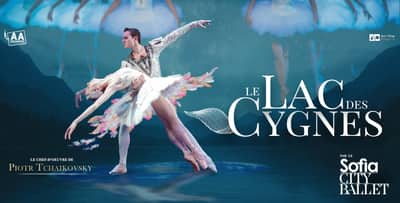 Le Lac Des Cygnes • Théâtre Fémina - BORDEAUX